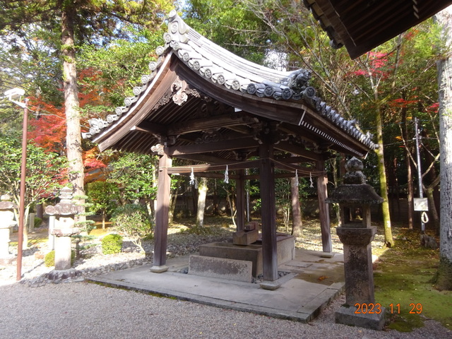 DSC03399.JPG