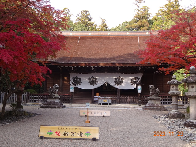 DSC03401.JPG