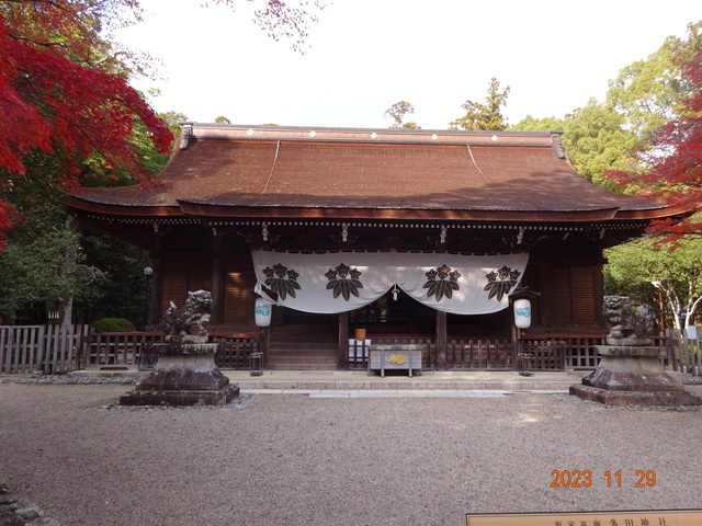 DSC03403.JPG