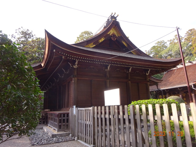 DSC03405.JPG
