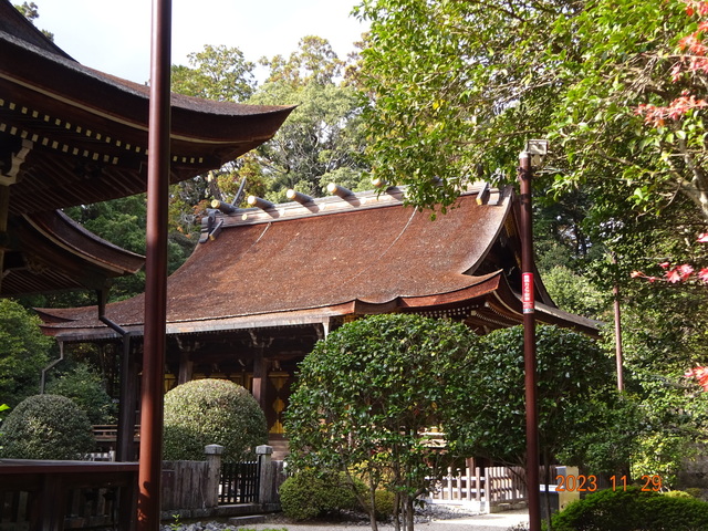 DSC03407.JPG