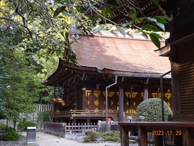 DSC03408.JPG