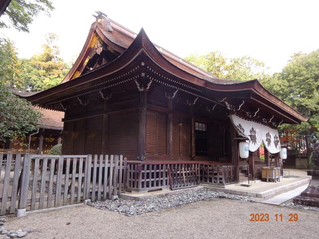 DSC03409.JPG