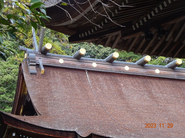 DSC03412.JPG