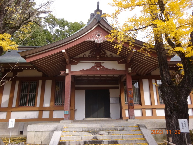 DSC03423.JPG