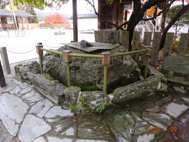 DSC03428.JPG