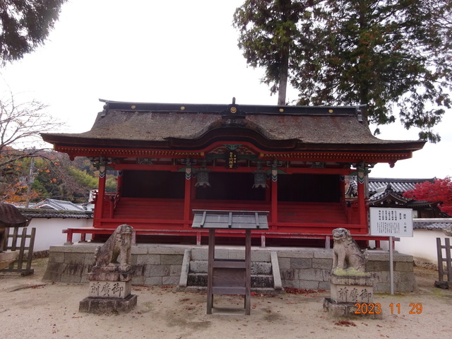 DSC03431.JPG