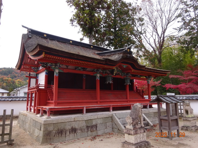 DSC03432.JPG