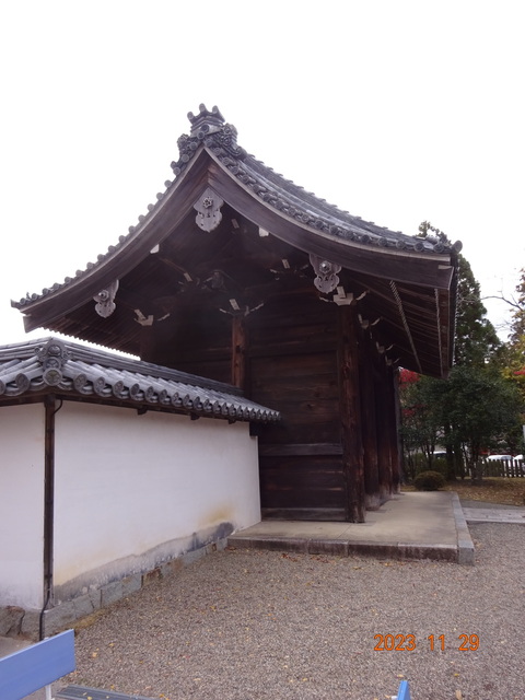 DSC03435.JPG