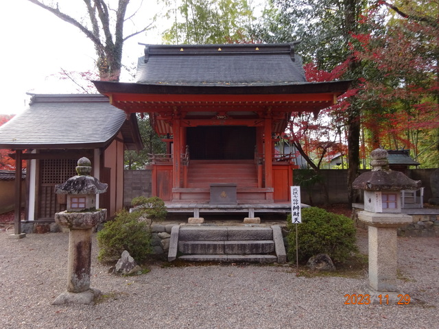 DSC03440.JPG
