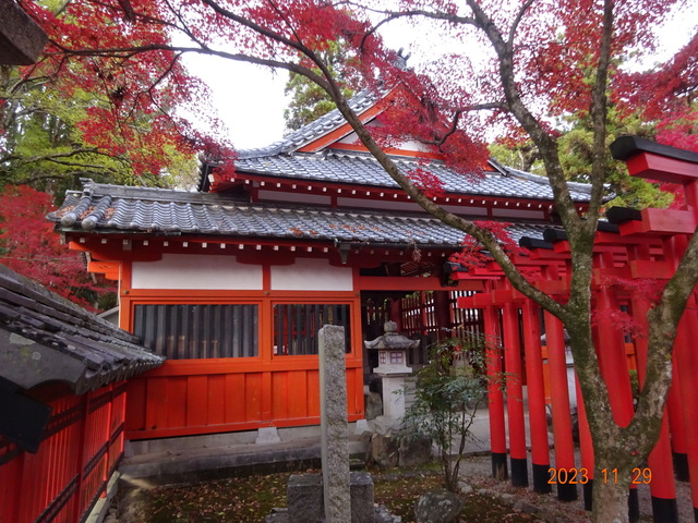 DSC03442.JPG