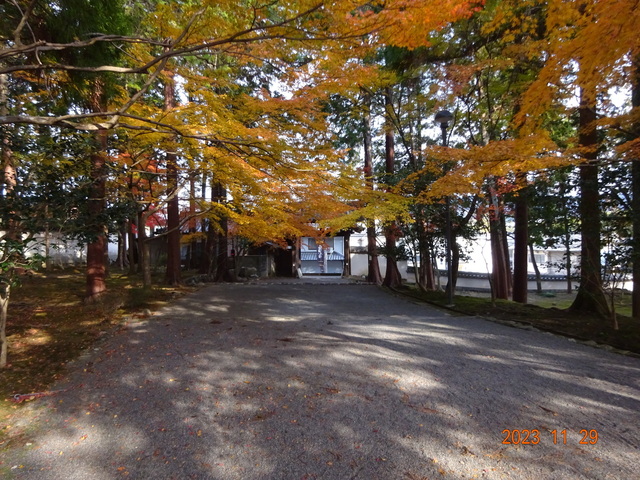 DSC03443.JPG