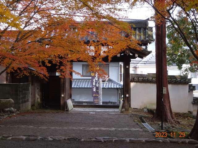 DSC03444.JPG