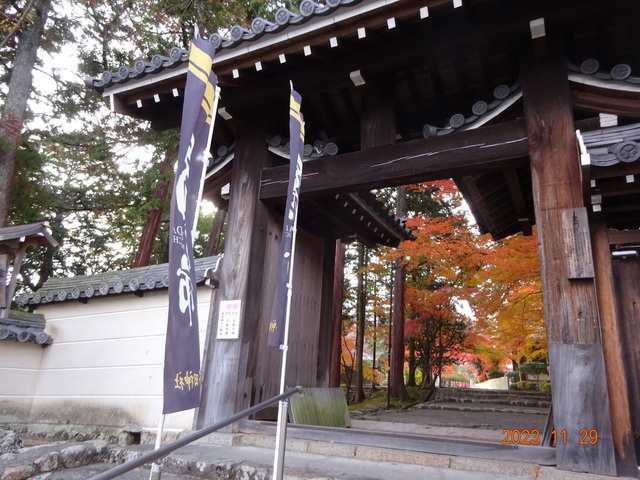 DSC03446.JPG