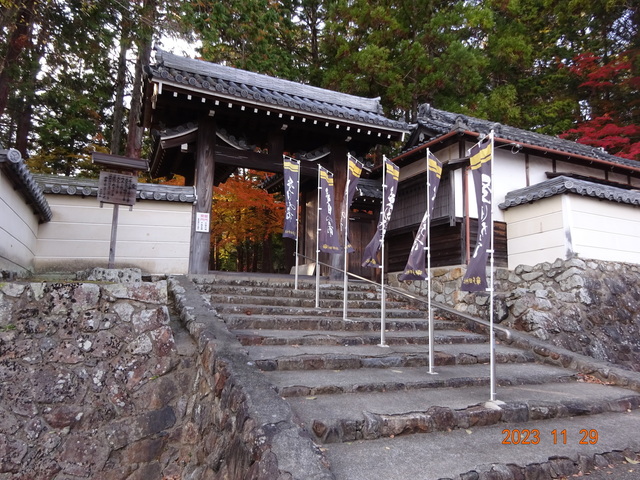 DSC03447.JPG