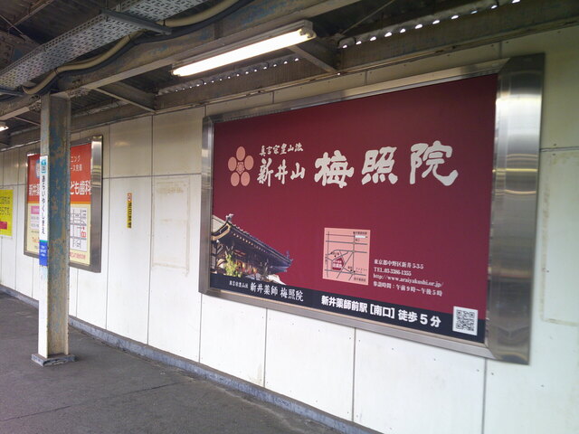 DSCF0469.JPG