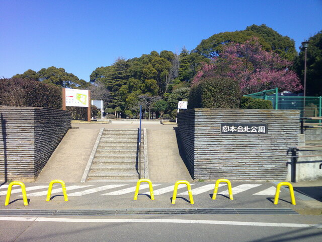 DSCF0655.JPG